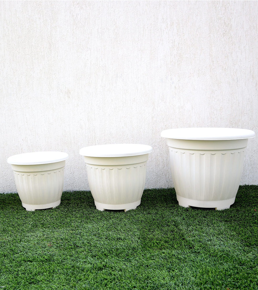 Flower Pot