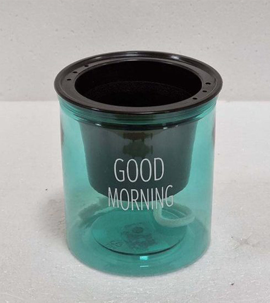Self Watering Indoor Transparent Pot
