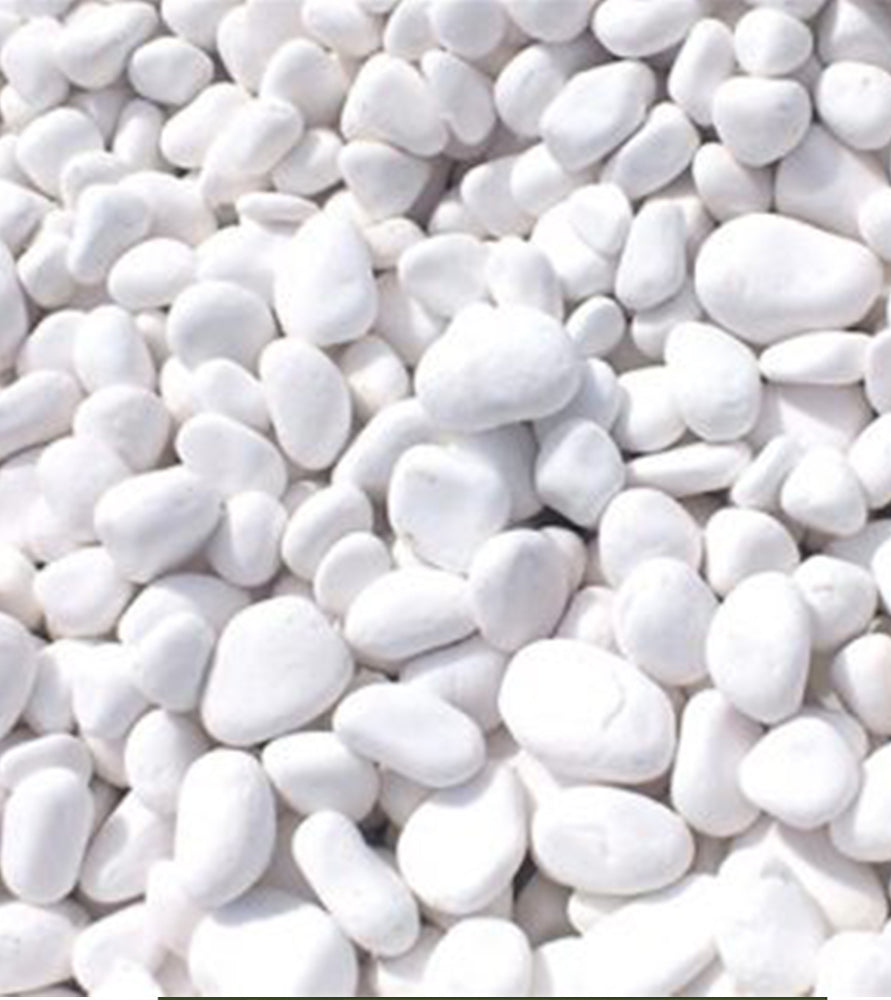 Snow White Decorative Pebbles | Natural Decorative Rocks for Garden plants succulents Vase Landscape Outdoor stones 18-20KG Bag