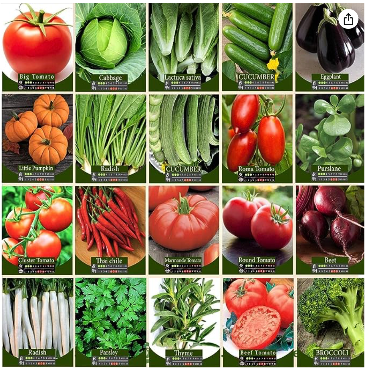 Agrimax Herbs and Vegetables Seeds Bundle 20