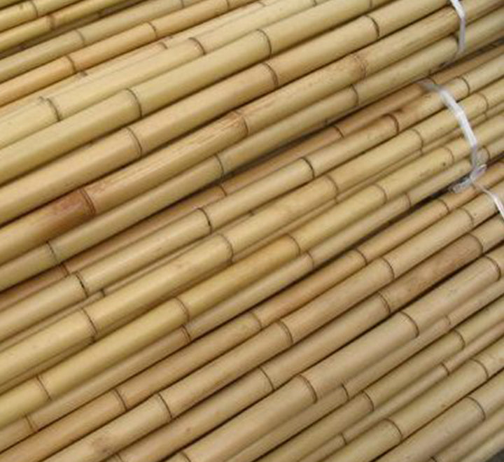 Bamboo Stick “Per Piece” 15-30mm Dia “Ideal for Plant Support”