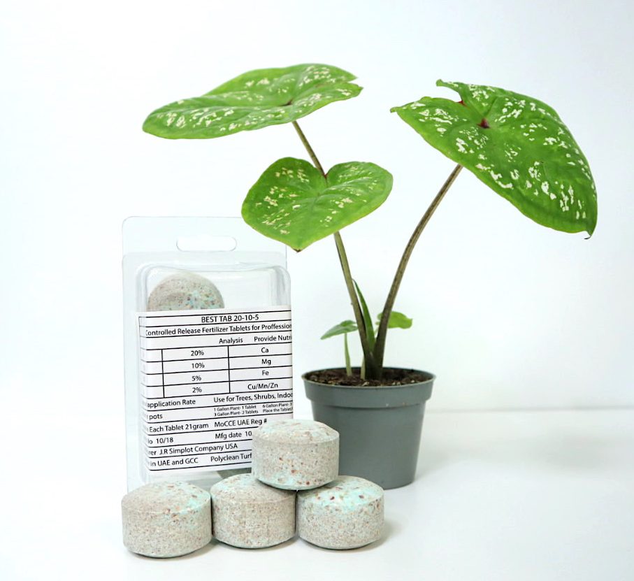 Best Tab “NPK Fertilizer Tablets” with Complete Essential Nutrients For Indoor and Outdoor Plants