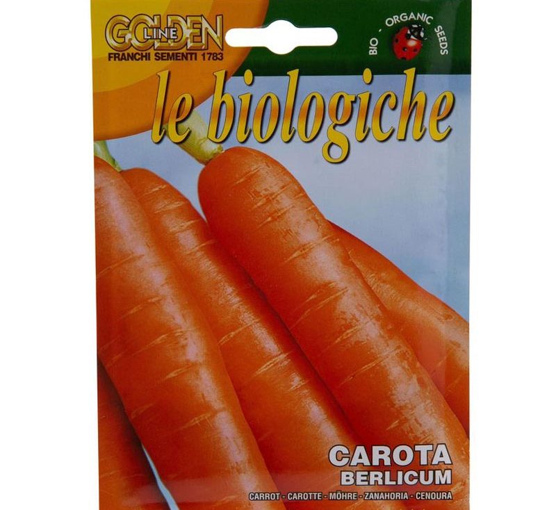 Carrot “Carota Berlicum” Organic Seeds