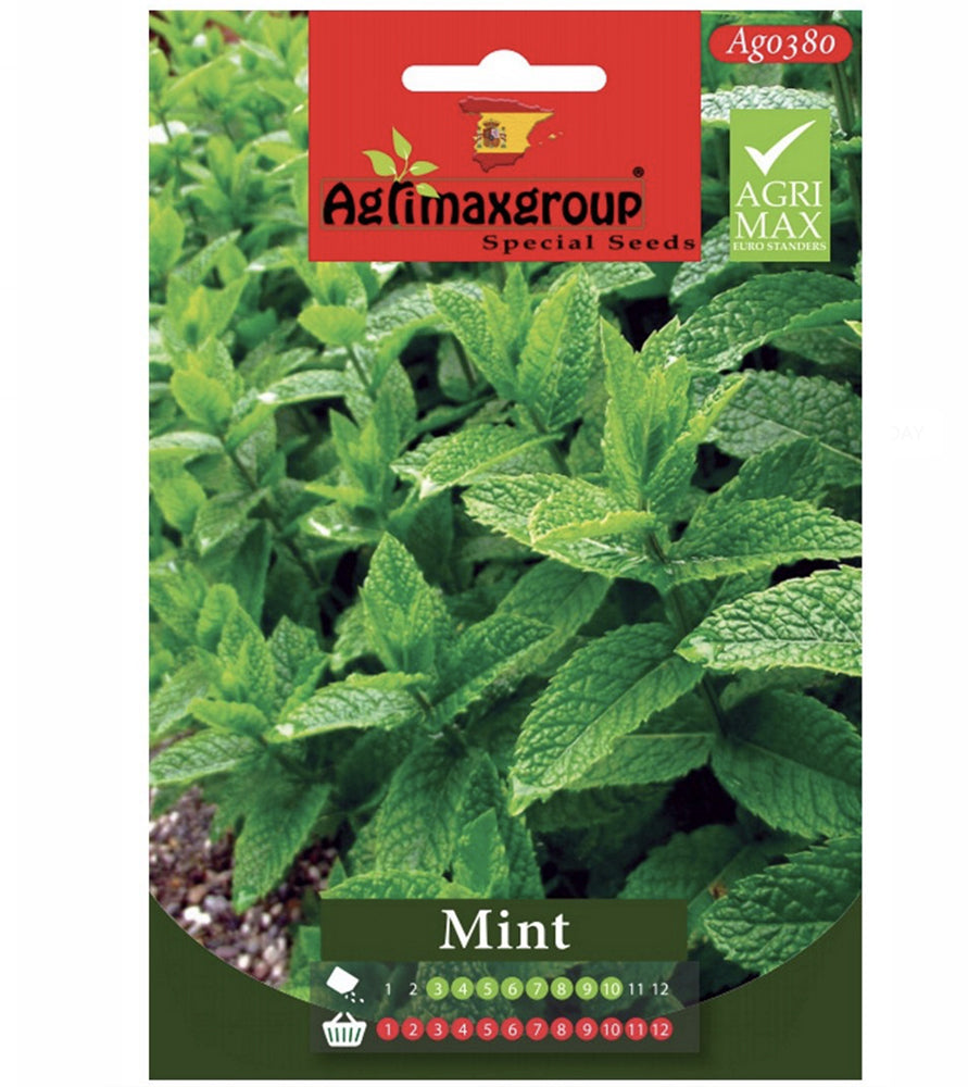 Mint Agrimax Seeds