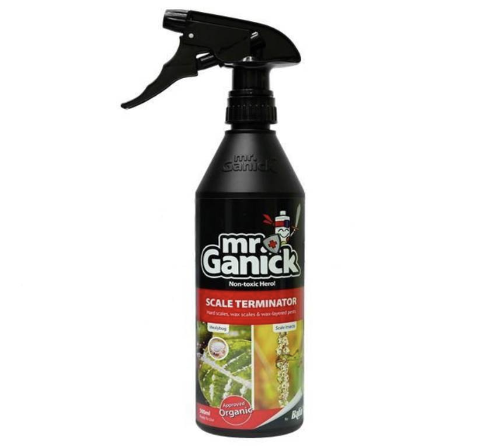Mr. Ganick Organic “Mealybug and Scale Terminator Spray” 500ml
