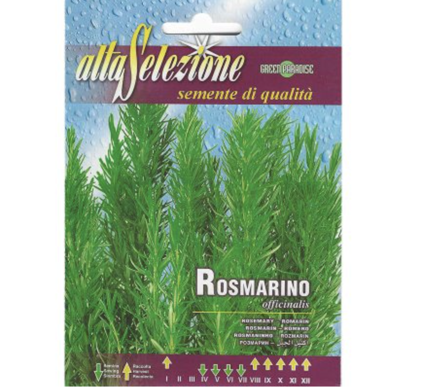 Rosemary “Rosmarino Officinalis” Seeds by Alta Selezione