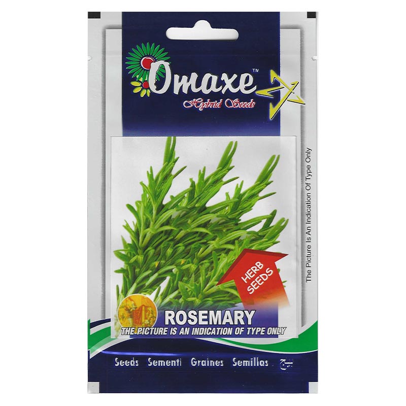 Rosemary “Rosmarinus officinalis” Hybrid Seeds by Omaxe