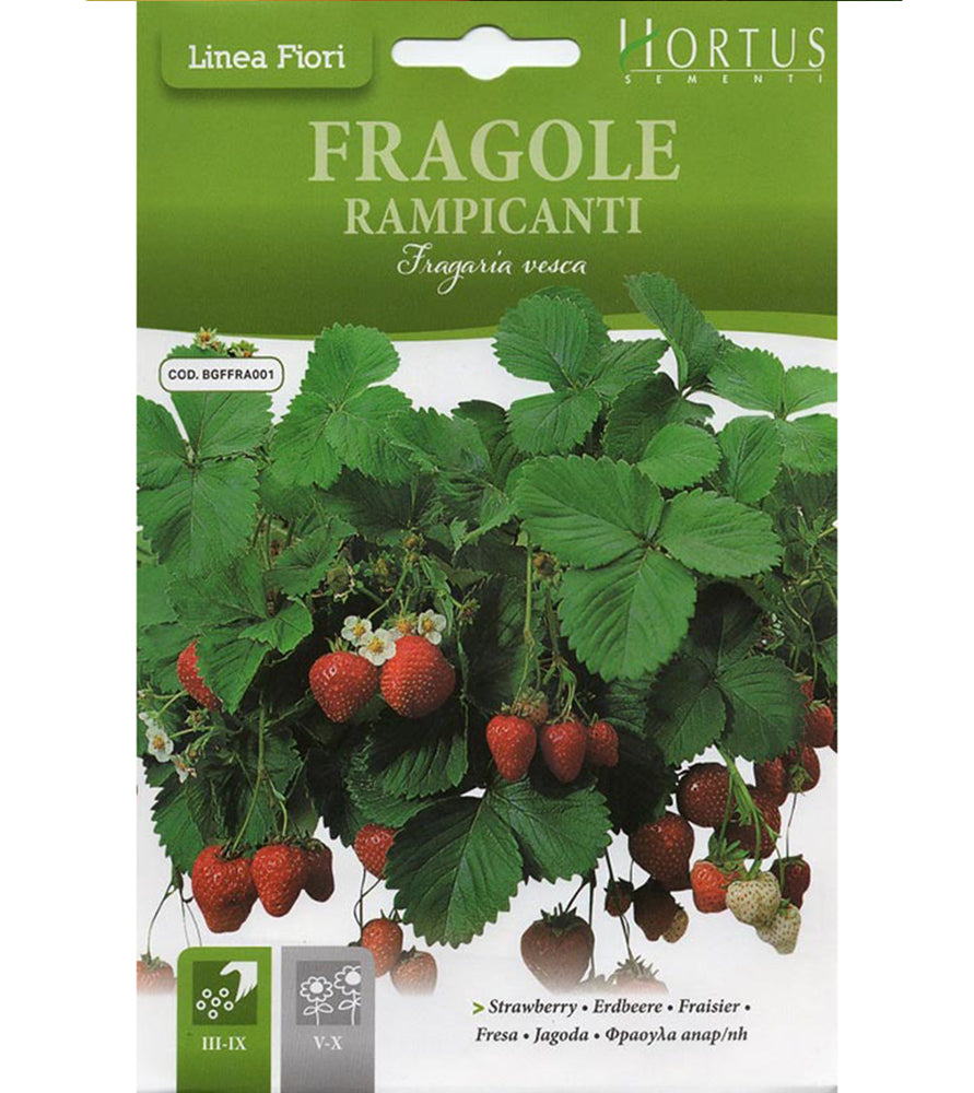Strawberry “Fragole Rampicanti” Seeds by Hortus